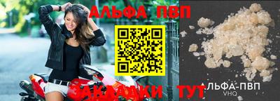 спиды Канаш