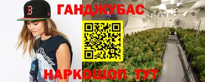 тгк Камышлов